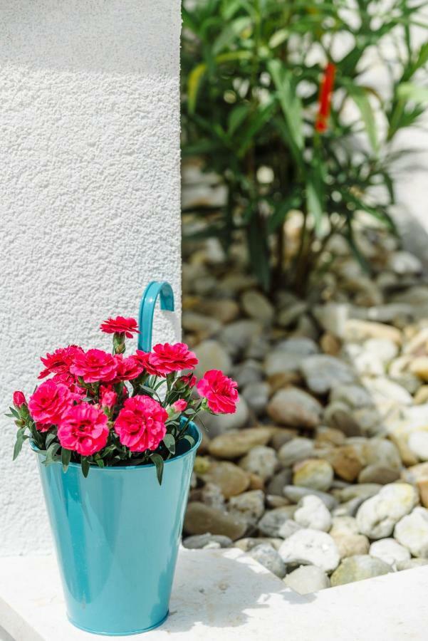 Apartments Villa Dalmatia Trogir Dış mekan fotoğraf